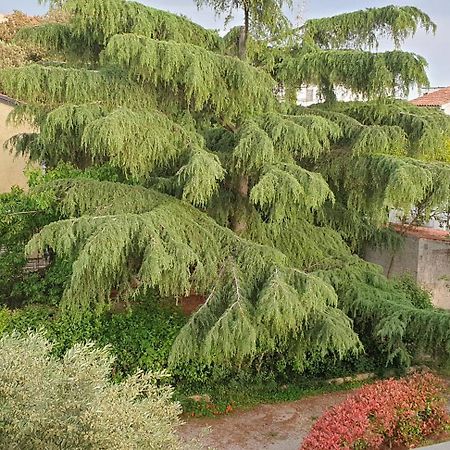 Apartments Adri, Parking In The Yard Rovinj Exterior photo